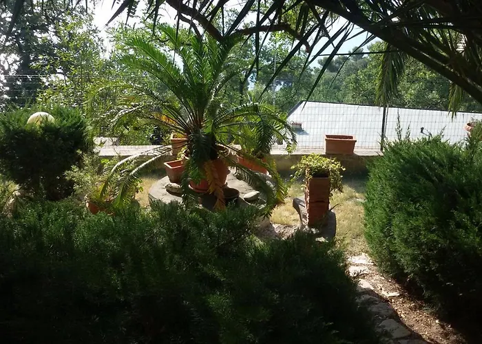 Loft Sul Mare Apartment *