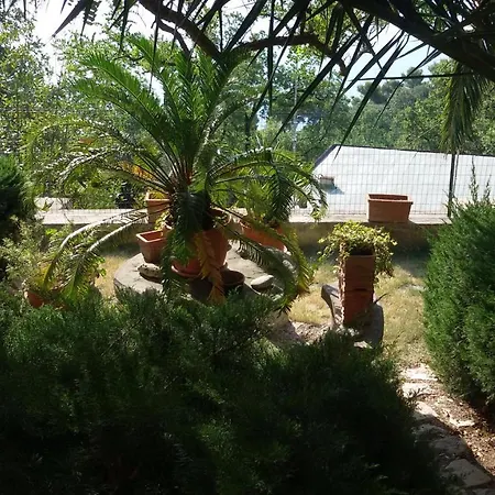 Loft Sul Mare Apartment *