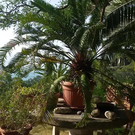 Loft Sul Mare * Sirolo